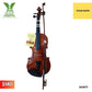 VIOLIN AUSTIN 362873