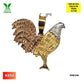 DIJE DE GALLO DE 10 KILATES D10K256