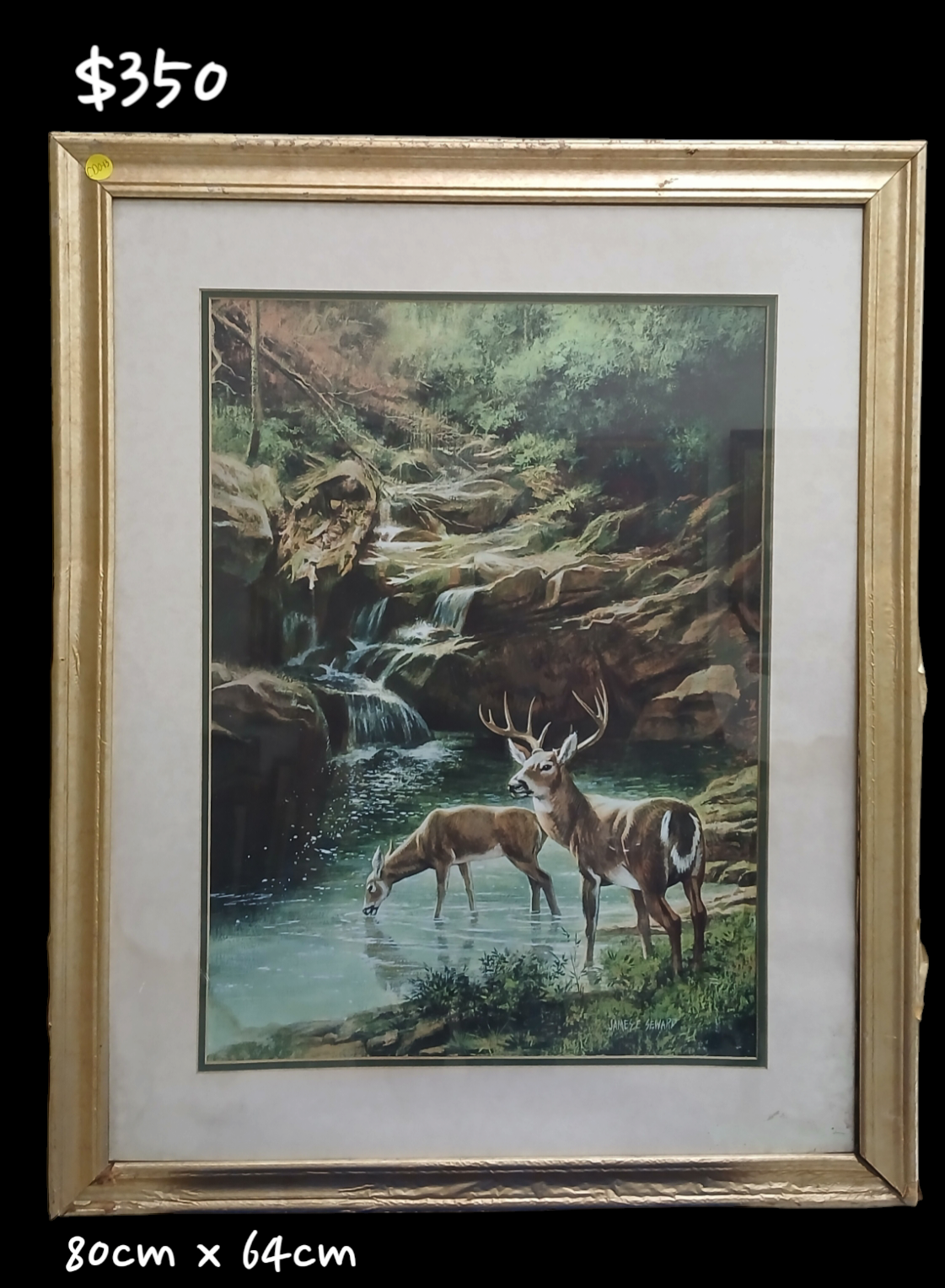 VENADOS EN UN PAISAJE